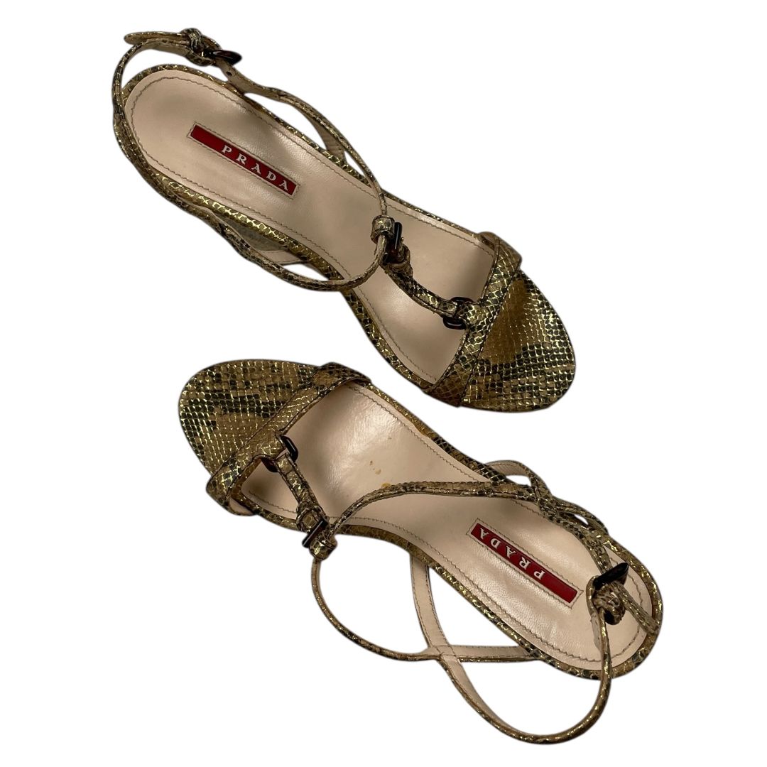 Plataformas PRADA Varios Reptil Talle 39