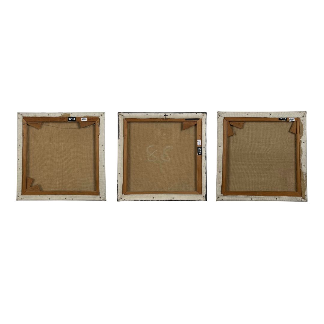 ERIK VAN DER GRIJN Arte Con Vidrio Triptico Medida 120cm X 35cm