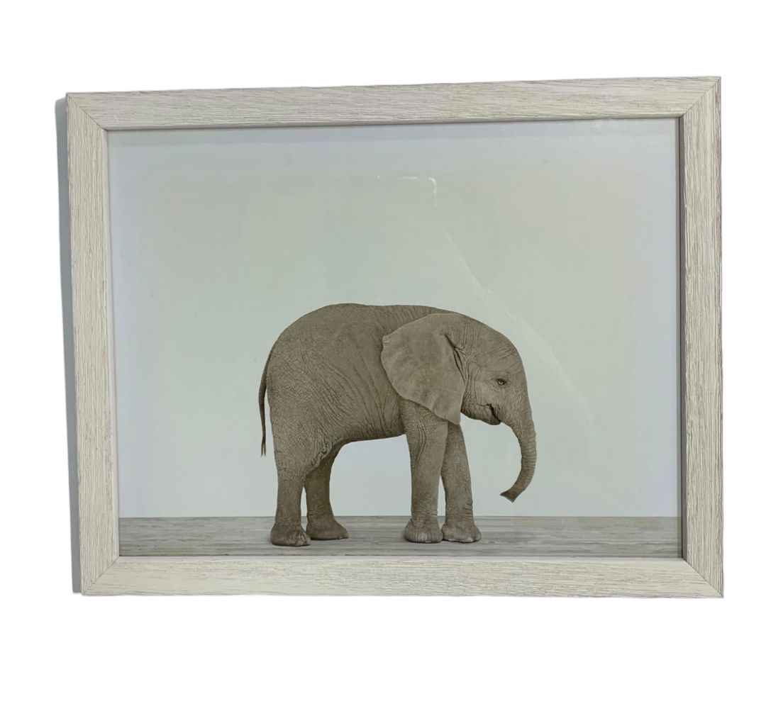 ANONIMO  Arte con Vidrio  Estilo Retrato  36 cm x 28 CM