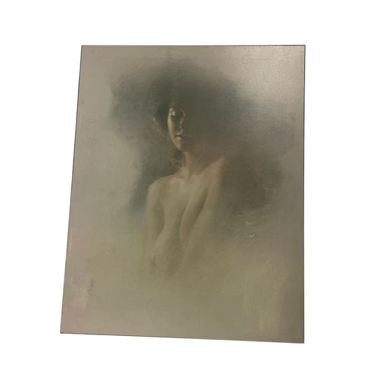 SIN MARCA  Arte sin Vidrio  Estilo Retrato  Medida 70cm X 55cm