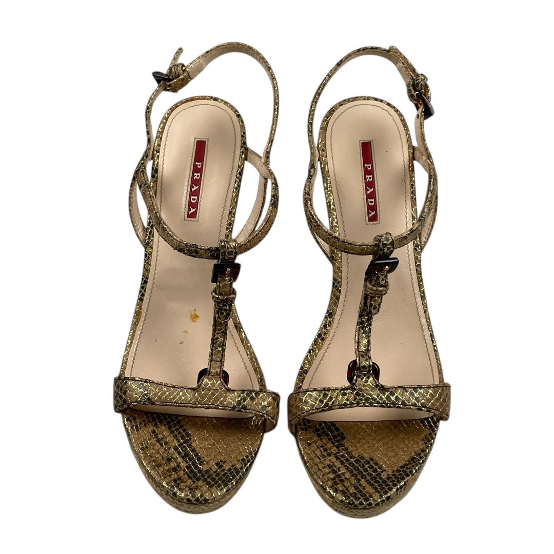 Plataformas  PRADA  Varios  Reptil Talle 39