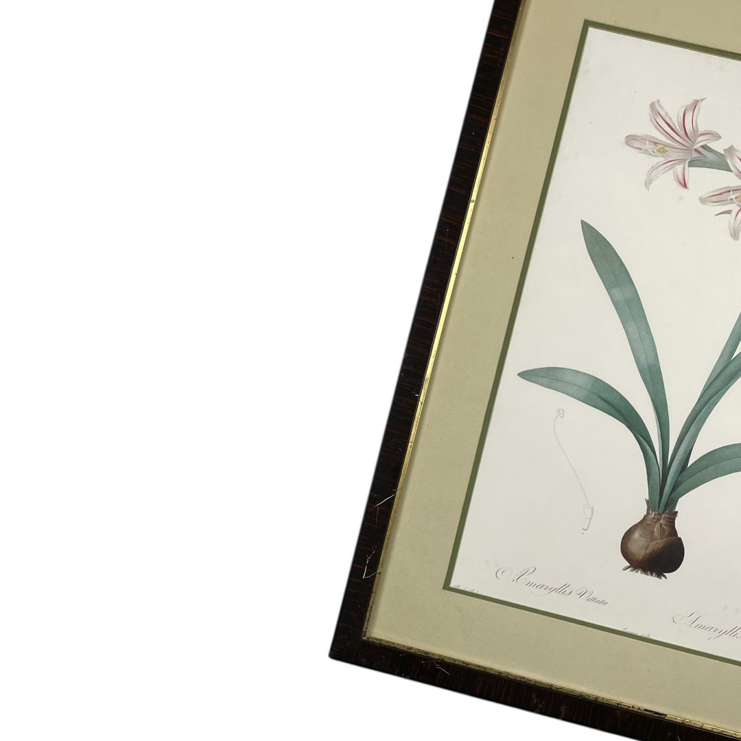 Arte con Vidrio  ANONIMO  Varios Floral Obra 52cm X 34cm Marco 70cm X 52cm