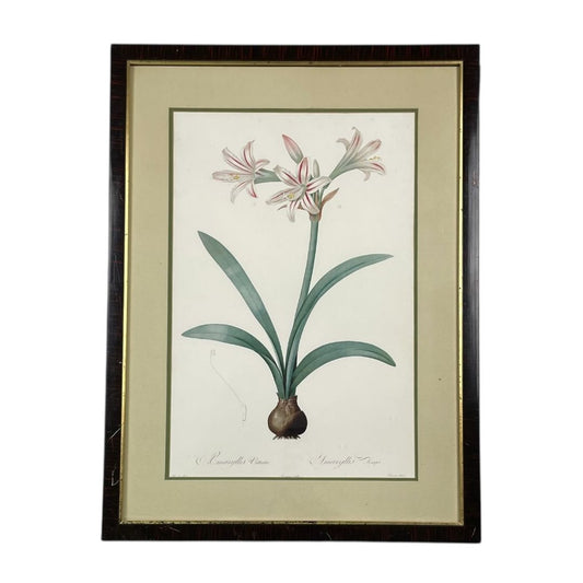 Arte con Vidrio  ANONIMO  Varios Floral Obra 52cm X 34cm Marco 70cm X 52cm