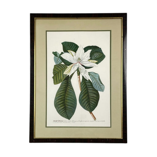 Arte con Vidrio  ANONIMO  Varios Floral Obra 52cm X 34cm Marco 70cm X 52cm