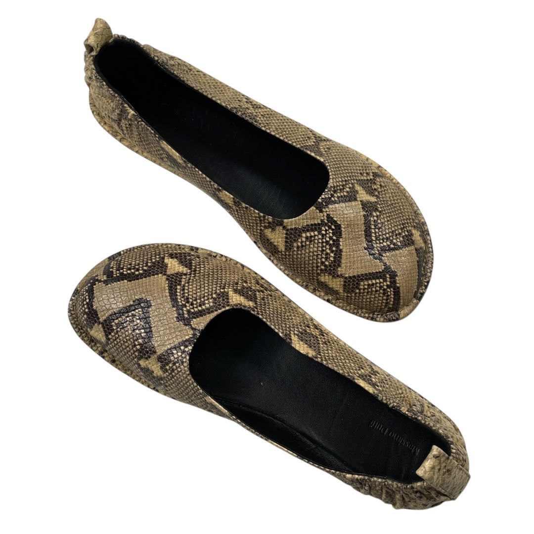 Zapatos  MASSIMO DUTTI  Varios  Reptil Talle 40