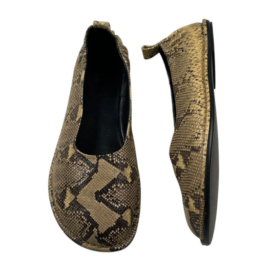 Zapatos  MASSIMO DUTTI  Varios  Reptil Talle 40