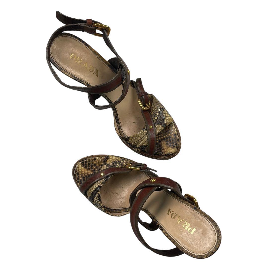 Zapato Taco Alto  PRADA  Varios  Reptil Talle 37,5