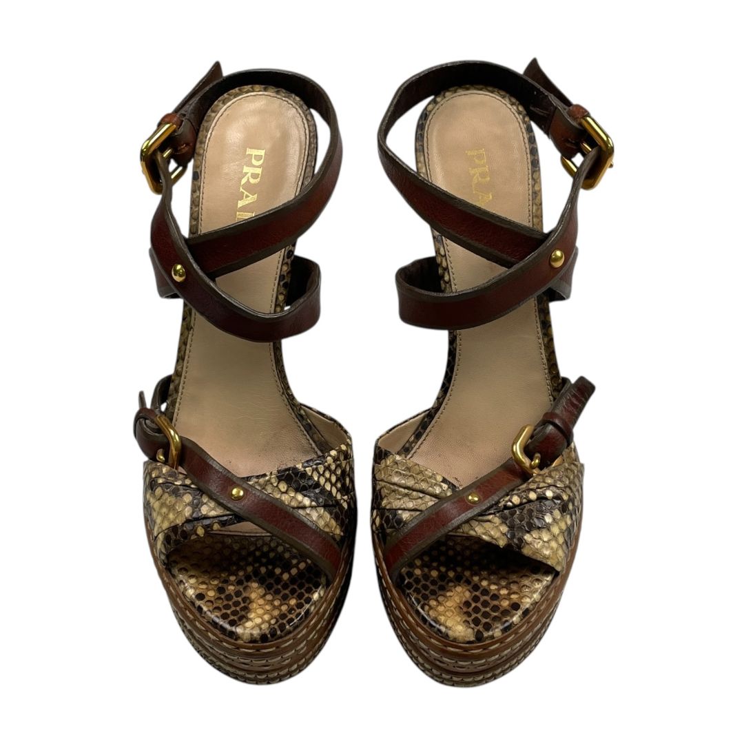 Zapato Taco Alto  PRADA  Varios  Reptil Talle 37,5