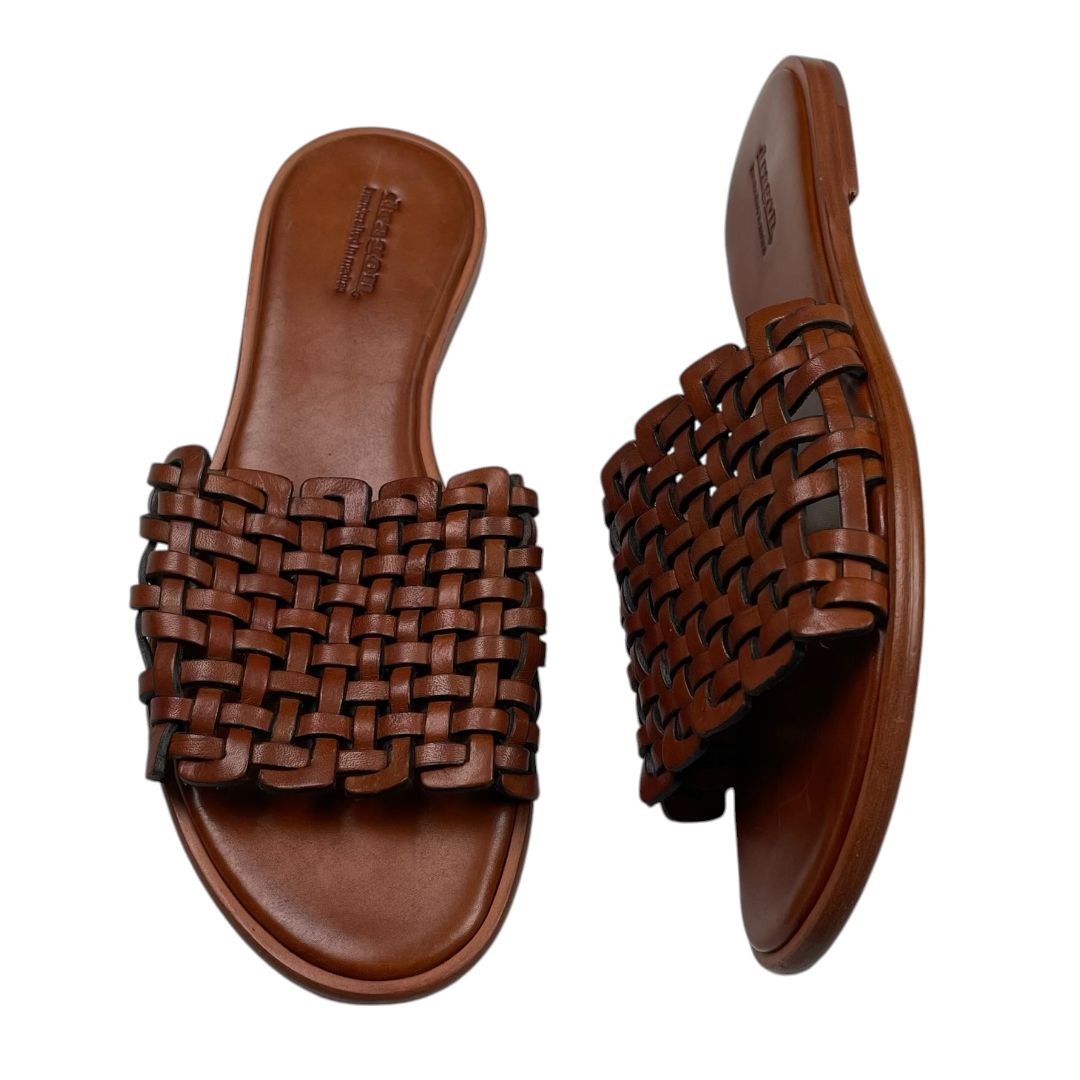 DRAGON Suecos Marron Talle 38