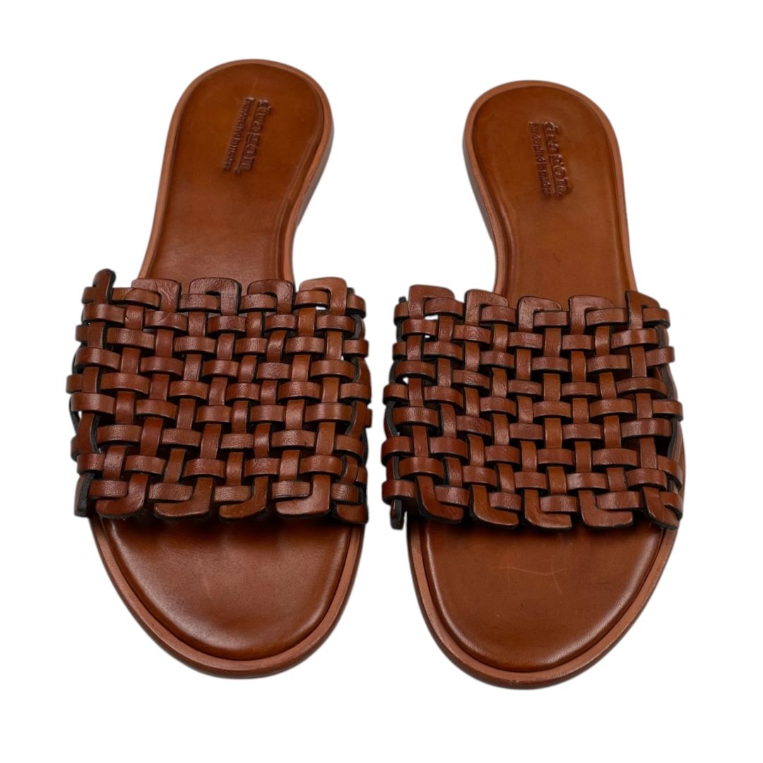 DRAGON Suecos Marron Talle 38