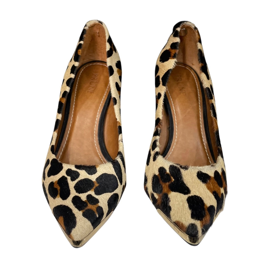 PRUNE Zapatos Varios  Animal Print Talle 37