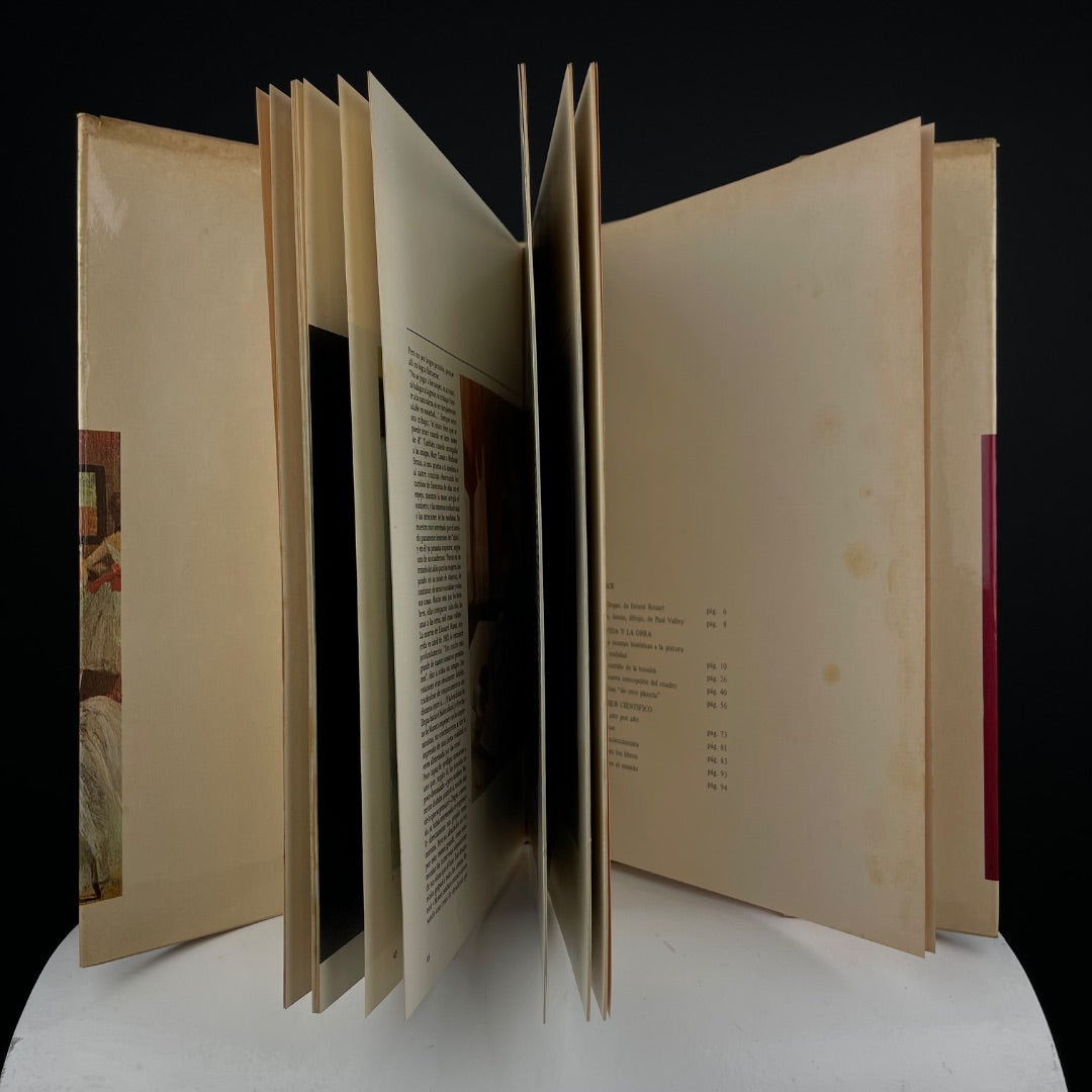 DEGAS Libro Estilo Impresionismo Talle Unico