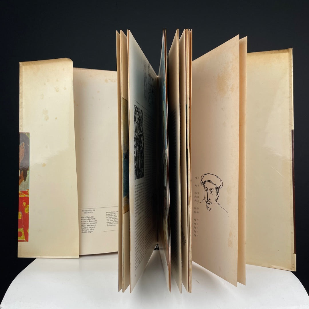 Libro Estilo Impresionismo Talle Unico