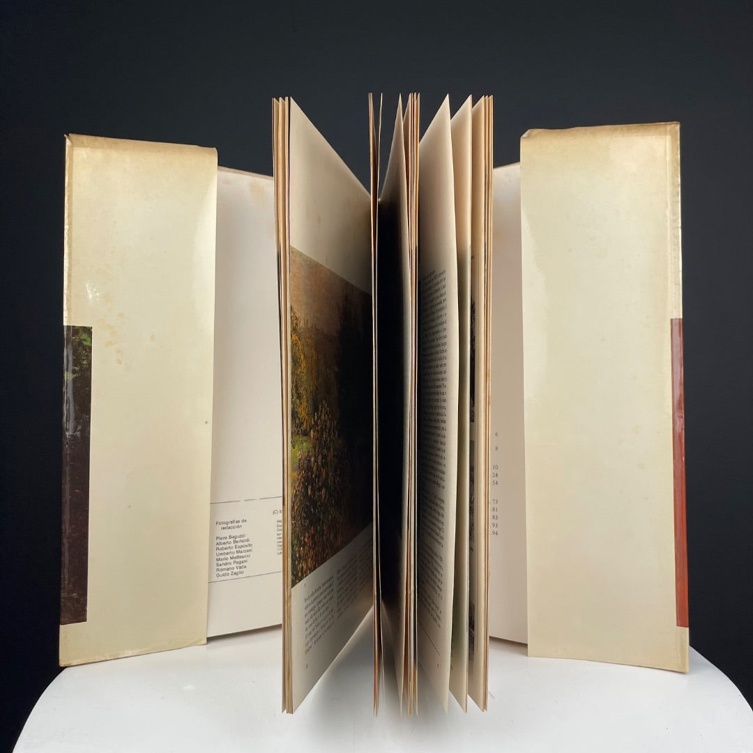 MONET Libro Estilo Impresionismo Talle Unico
