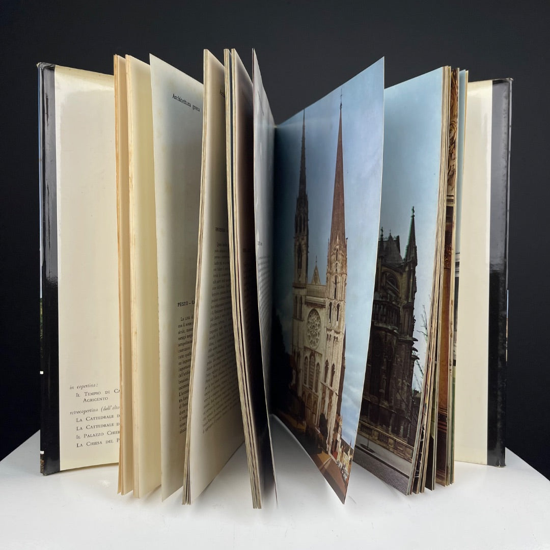 ANONIMO Libro Estilo Paisajismo Talle Unico