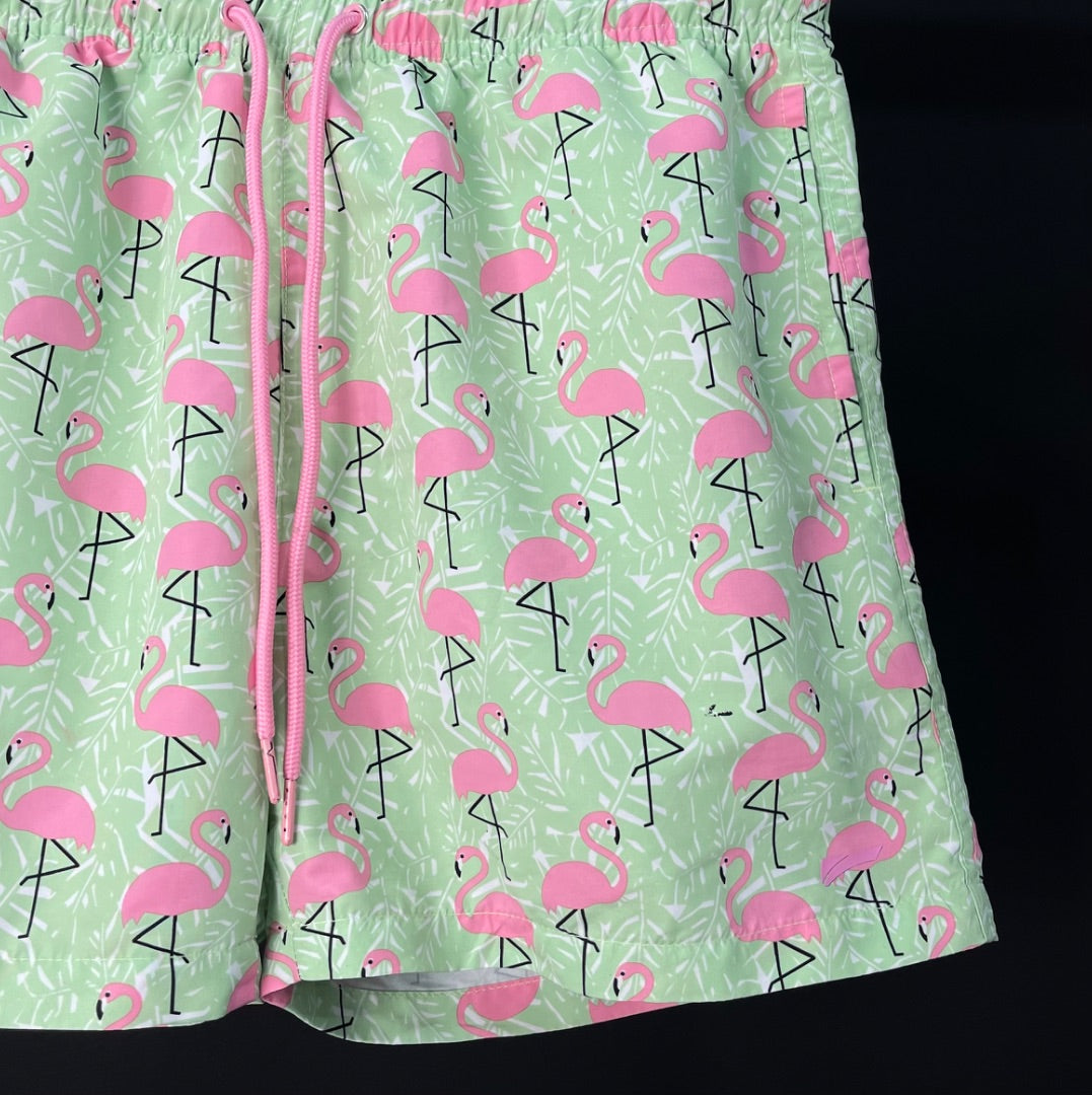 NEXPORT Short Bermuda Varios Talle S